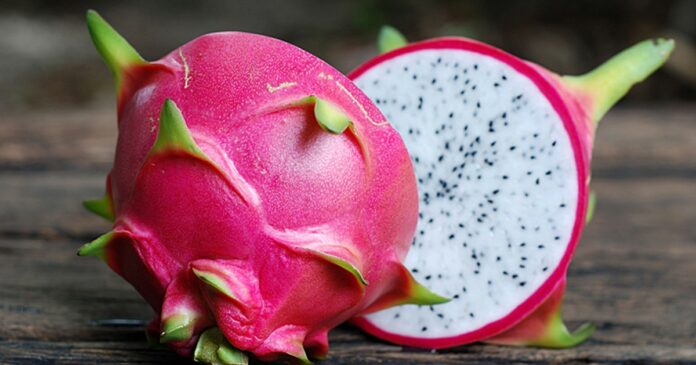 manfaat buah naga manfaat buah naga