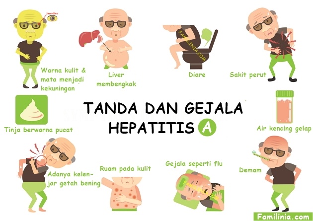 Gejala hepatitis A 