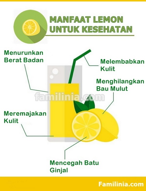 Khasiat dan Manfaat Lemon