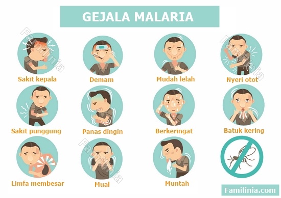 gejala malaria