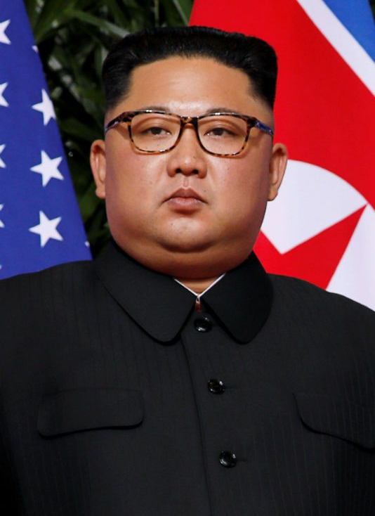 Kim Jong Un koma