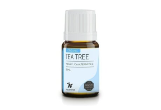 Rekomendasi Tea Tree Oil Terbaik
