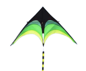 Sport Beach Fly Kite