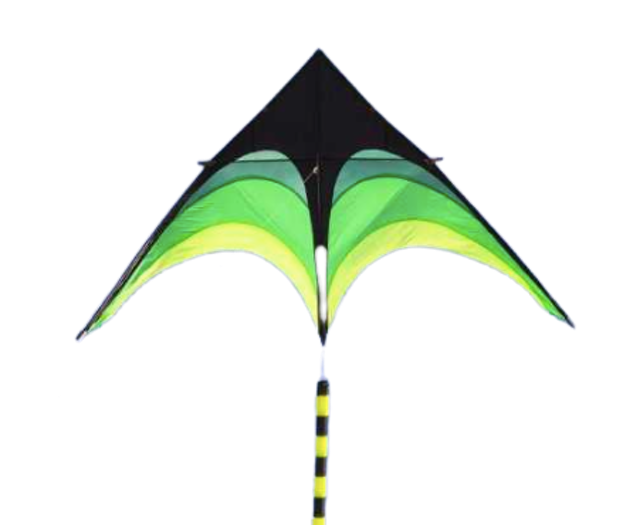 Sport Beach Fly Kite