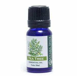 Tea Tree Oil Terbaik Utama Spice Tea Tree Essential Oil