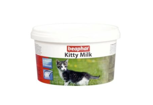 Rekomendasi Susu Terbaik Untuk Kucing