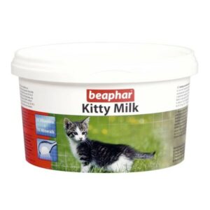 Rekomendasi Susu Terbaik Untuk Kucing